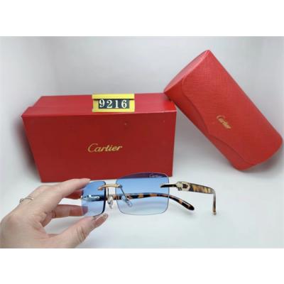 Cartier Sunglass A 046